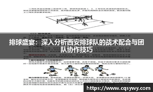 排球盛宴：深入分析西安排球队的战术配合与团队协作技巧